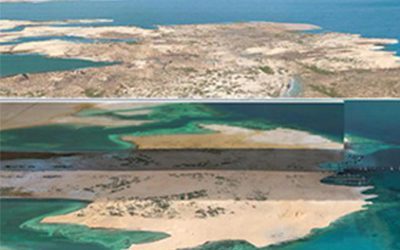 نيوم-1-qxmi7uq0ffhjqpthe2mbbf4l28ybeaur3c7gbz6nyc